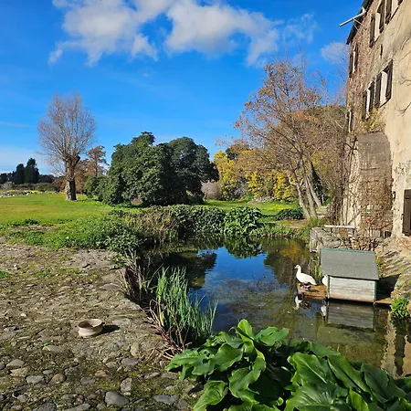 Apartment En Rez-de-jardin Montegrosso