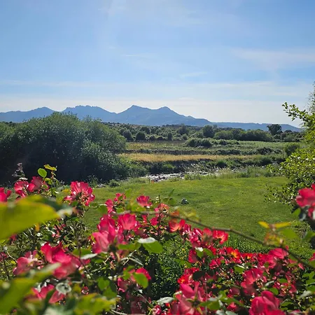En Rez-de-jardin Apartment Montegrosso